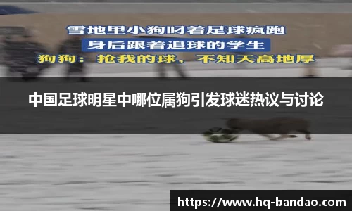 中国足球明星中哪位属狗引发球迷热议与讨论